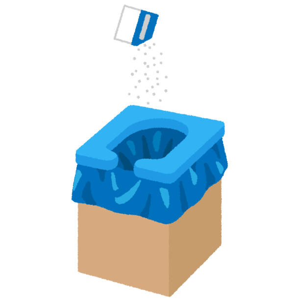 Best Local porta potty services  in Park Rapids, MN